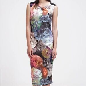 Ted Baker Mayzi Technicolour Bloom bodycon dress Floral Midi Dress